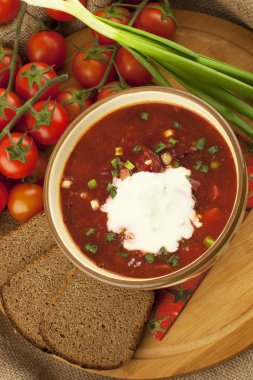 ekşi krema ile borsch çorbası