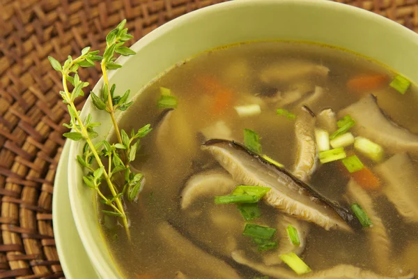 Sopa de hongos —  Fotos de Stock