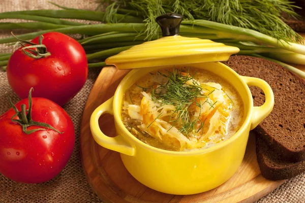 Sour cabbage soup — Stock Photo, Image