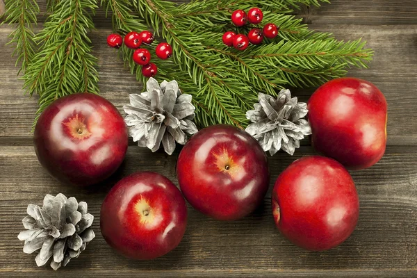 Красные яблоки на ветвях елки — стоковое фото