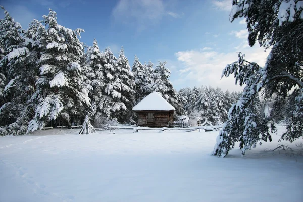 Winter Etnographic park, Riga, Letonia — Foto de Stock