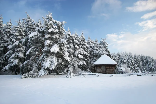 Winter Etnographic park, Riga, Letonia — Foto de Stock