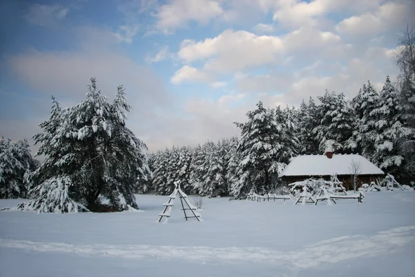 Parque Etnográfico de Inverno, Riga, Letónia — Fotografia de Stock