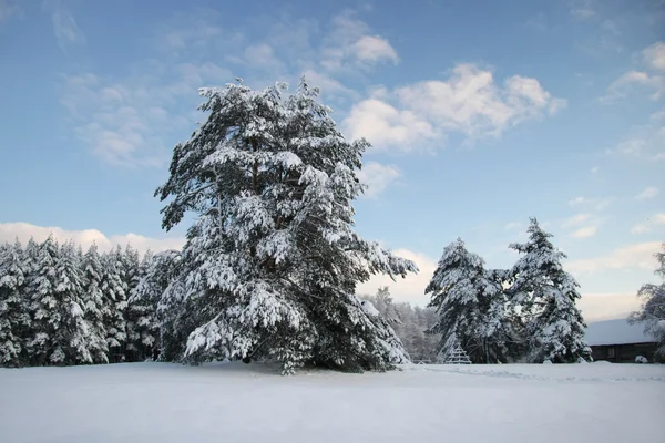 Winter Etnographic park, Riga, Letonia — Foto de Stock