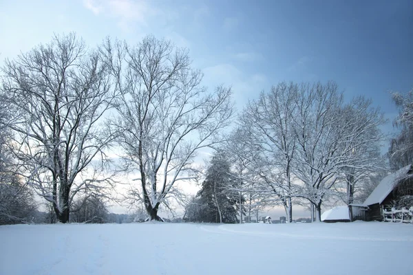Paesaggio invernale con foresta innevata — Foto Stock