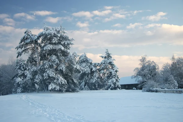 Paisaje invernal con bosque cubierto de nieve — Foto de Stock