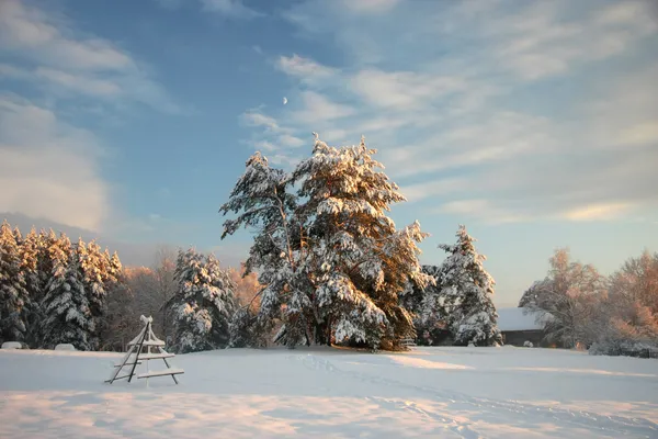 Paisagem de inverno com floresta coberta de neve — Fotografia de Stock
