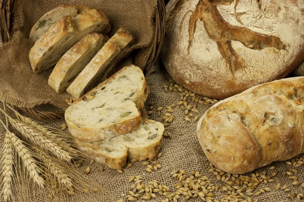 Traditionella nybakat bröd — Stockfoto