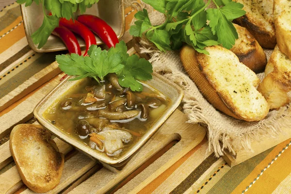 Mushroom soup in ceramic  bowl — Stock Photo, Image
