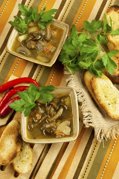 Zuppa di funghi in ciotola di ceramica — Foto Stock