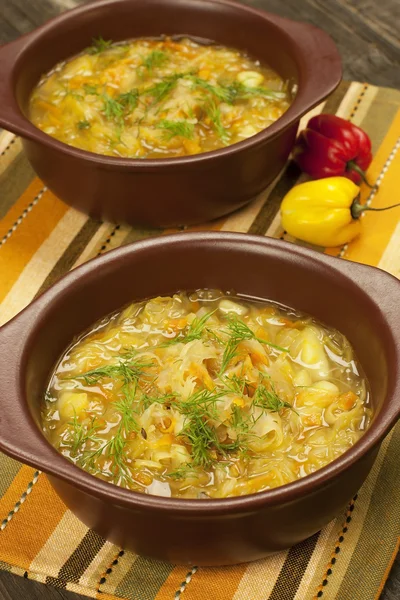 Традиційний російський кислий капустяний суп — стокове фото