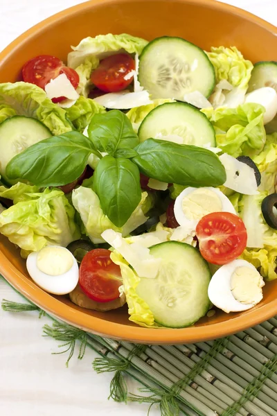 Healthy salad with vegetables — Stock Photo, Image