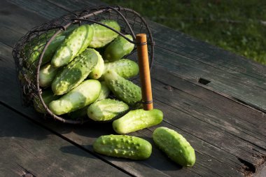 Bir sepette salatalık hasat et.