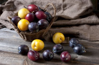 Natürmort tablo sepetteki Erik ile