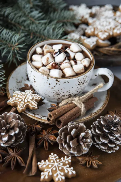 Coupe Chocolat Chaud Crémeux Avec Guimauves Fondues Biscuits Pain Épice — Photo