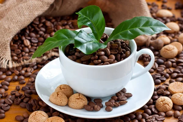Zátiší Mandlovými Sušenkami Kávovými Zrnky Hrnku Selektivní Zaměření Mělkou Hloubkou — Stock fotografie