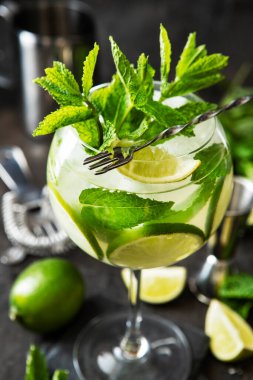 Narenciye içki taze nane, alan seçici odak ile sığ derinliği ile bardak