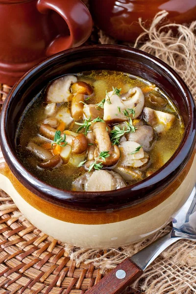 Sopa Champiñones Casera Caliente Con Champiñones Fritos Taza Color Mesa —  Fotos de Stock