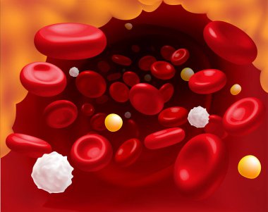 Üç boyutlu kırmızı kan hücreleri, beyaz kan hücreleri ve ölüm nedenini engelleyen kolesterol. tıbbi kullanım bilimi, eğitim