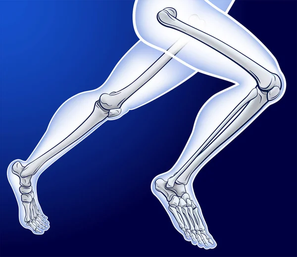 Illustration Running Man Skeleton Ankle Toe Dark Blue Background — Stock Vector
