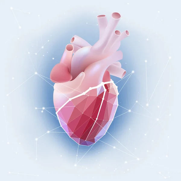 Human heart illustration in realistic 3D mixed polygon pattern.