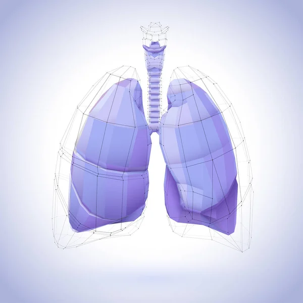 3D illustration of a human lung polygon covered with purple tones and a heart-shaped black net.
