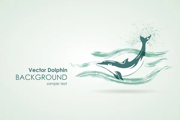 Dolphin in water splash — Stock Vector