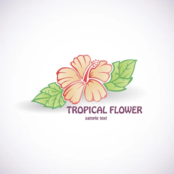 ハワイ イラスト フラワーストックベクター ロイヤリティフリーハワイ イラスト フラワーイラスト Depositphotos