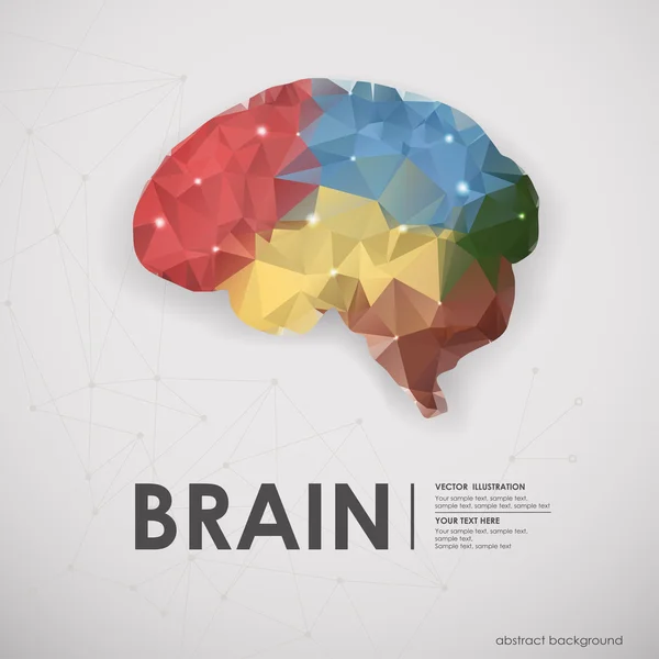 Abstraktní barevné polygony pozadí lidského mozku. — Stockový vektor
