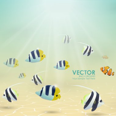 parlak renkli balık ile sualtı tropikal dünya