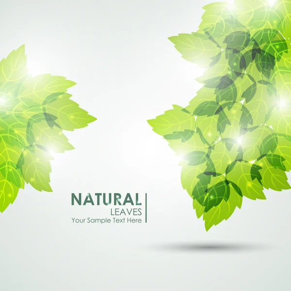 Sommer Vektor Hintergrund mit frischen grünen Blättern — Stockvektor