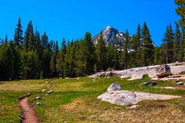 Pacific crest iz lyell çatal tuolumne Nehri boyunca yosemite