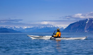 Female kayaker paddling in Glacier Bay National Park, Alaska clipart