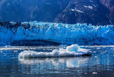 Iceberf floating in front of glacier surface in Glacier Bay Nati clipart