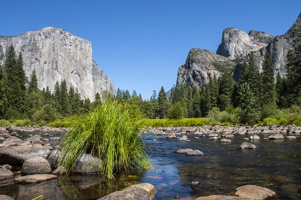 El Capitan mountain in Yosemite National park with creeck and gr — Stock Photo, Image
