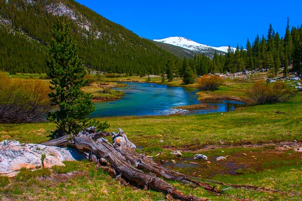 Lyell fork of Tuolumne river along Pacific Crest Trail, Yosemite — Stock Photo, Image