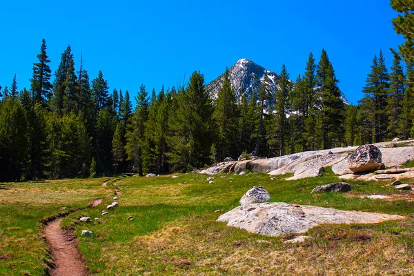 Pacific crest trail langs lyell vork van tuolumne rivier, yosemite — Stockfoto