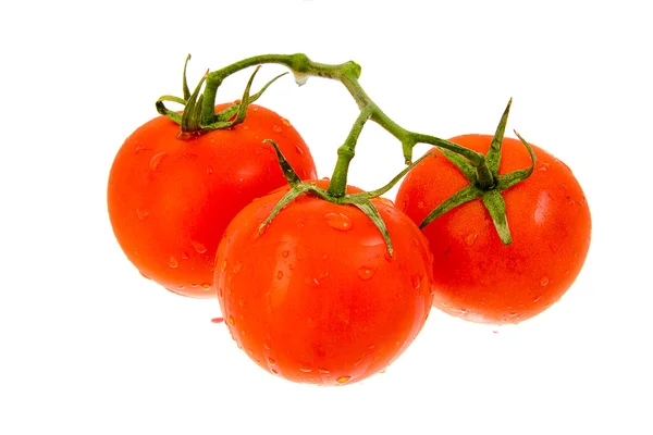 Tomates em videira — Fotografia de Stock