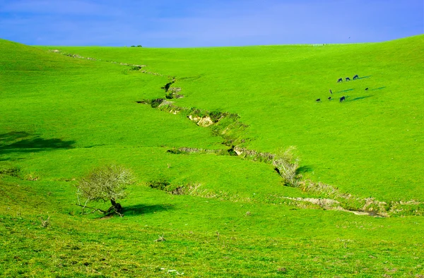 Erosão do solo em terras agrícolas — Fotografia de Stock