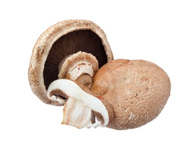 Portabella mushrooms. clipart