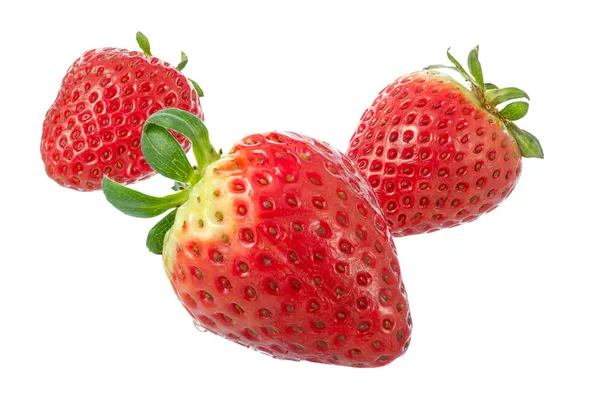 Aardbeien. — Stockfoto