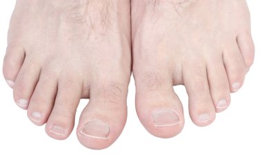 Toes. clipart