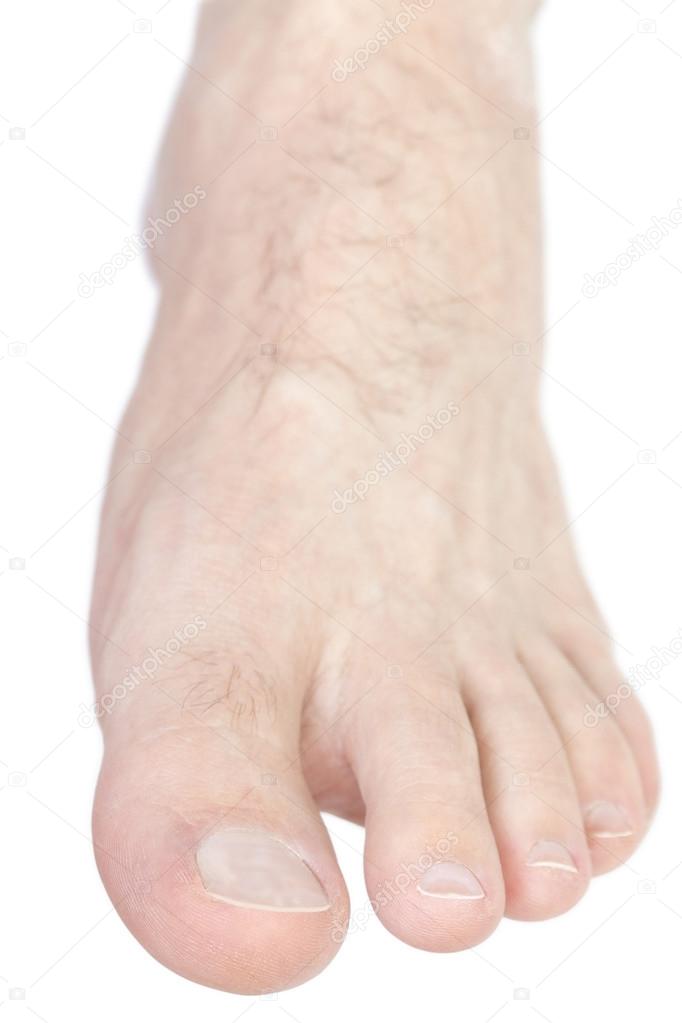 Foot Front View Stock Photo By C Snyfer