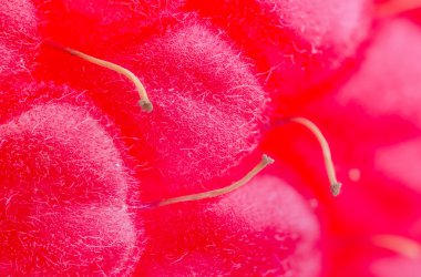 Kırmızı Ahududu zemin.