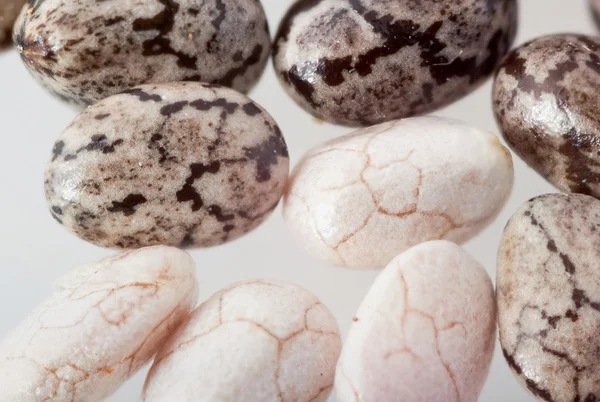 Chia (salvia hispanica) tohumları.