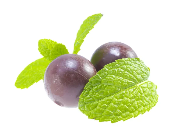 Cioccolato alla menta . — Foto Stock