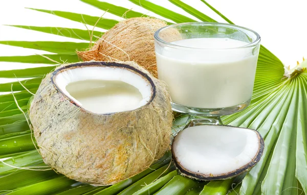 Kokosové mléko. — Stock fotografie