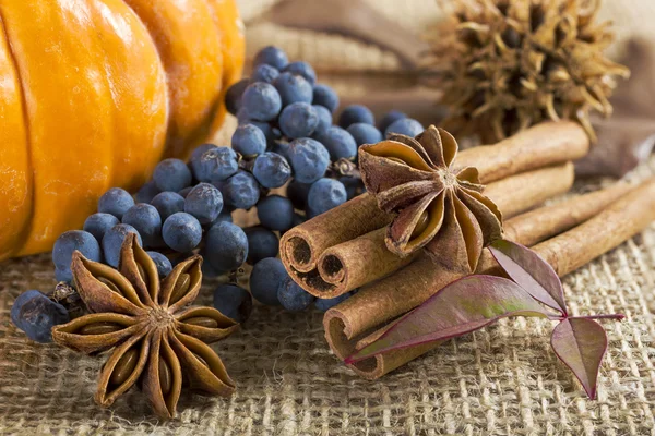 Fall spices. — Stock Photo, Image
