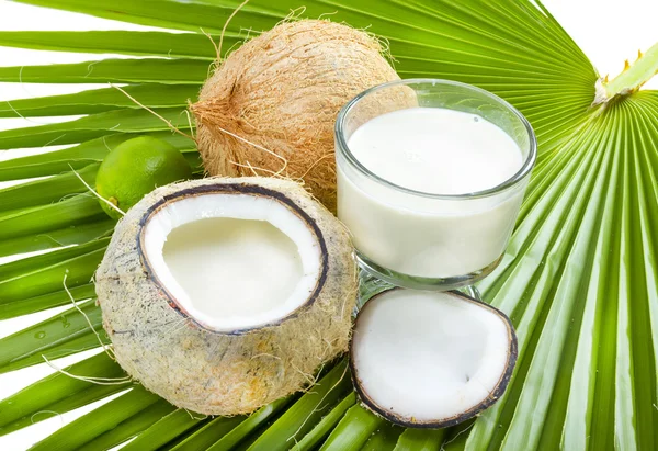 Leche de coco . Imagen de stock