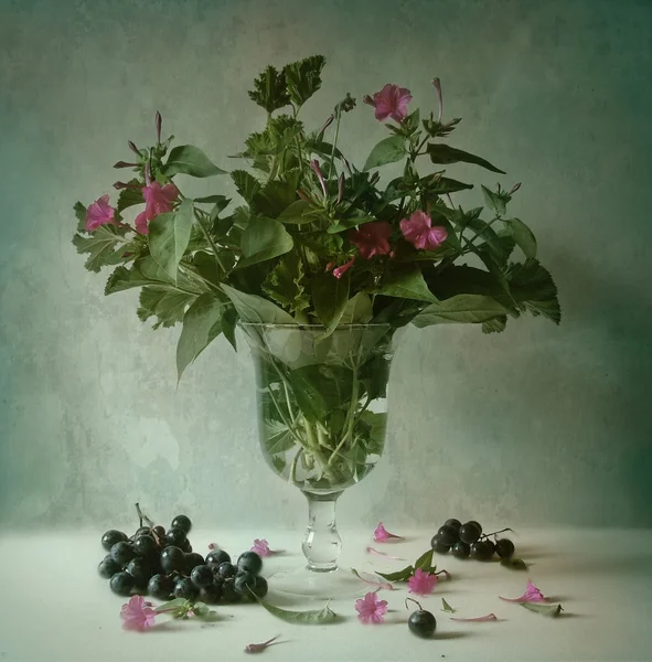 Nature Morte Photographie Art — Photo